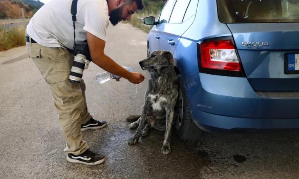 Η ανθρωπιά που αντιστέκεται στις φλόγες-Πράξεις αλληλεγγύης που συγκινούν